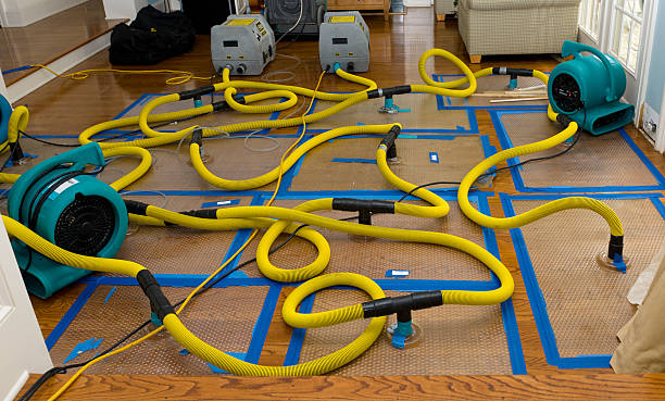 Professional Water Damage Restoration technician working in Huntington Station, NY